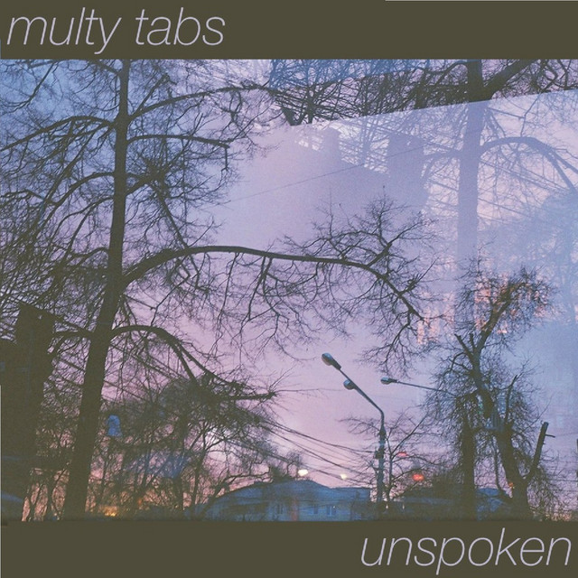 Unspoken cover art