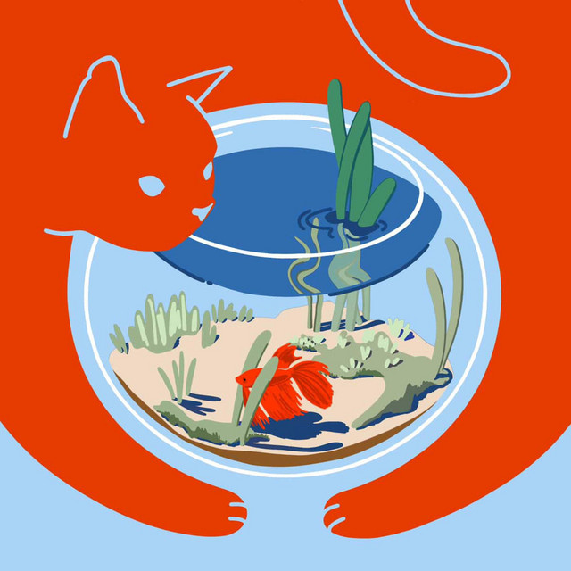 The Kid cover art