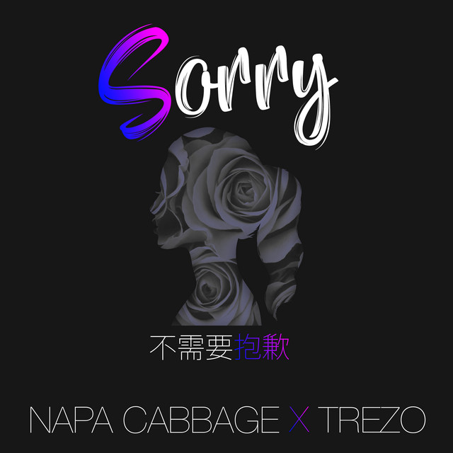 不需要抱歉 cover