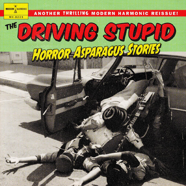 The Driving Stupid Photo