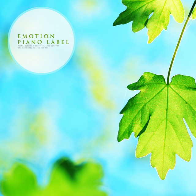 Emotional Piano With The Sound Of Nature cover