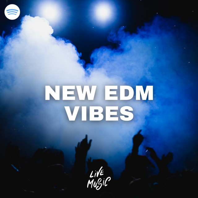 New EDM Vibes cover art