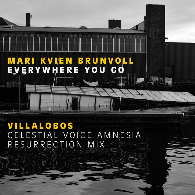 Everywhere You Go - Villalobos celestial voice resurrection/amnesia rehabilitation mix