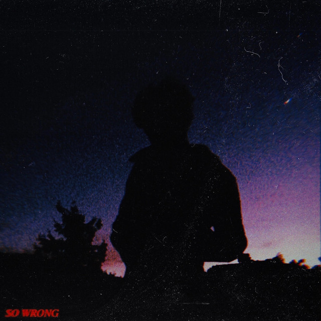 So Wrong cover art