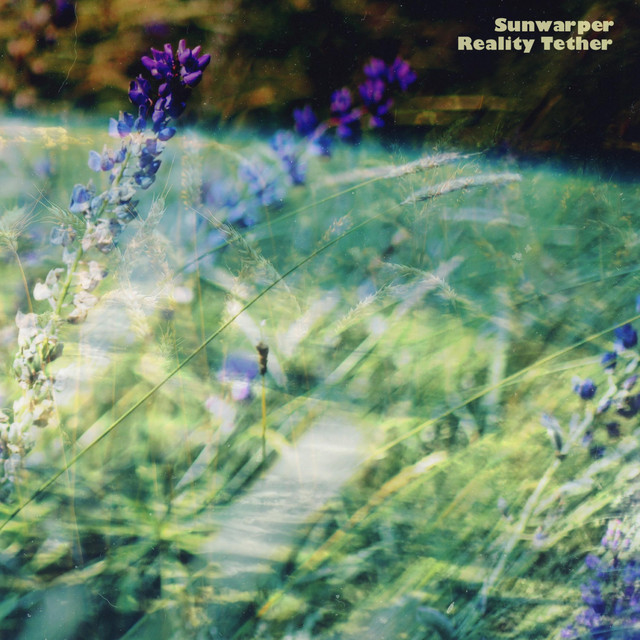 Reality Tether cover art