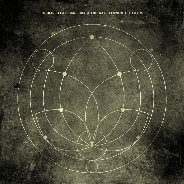 Lotus cover art
