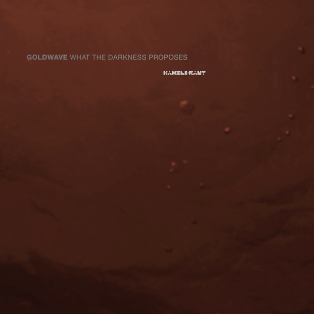 What the Darkness Proposes cover art
