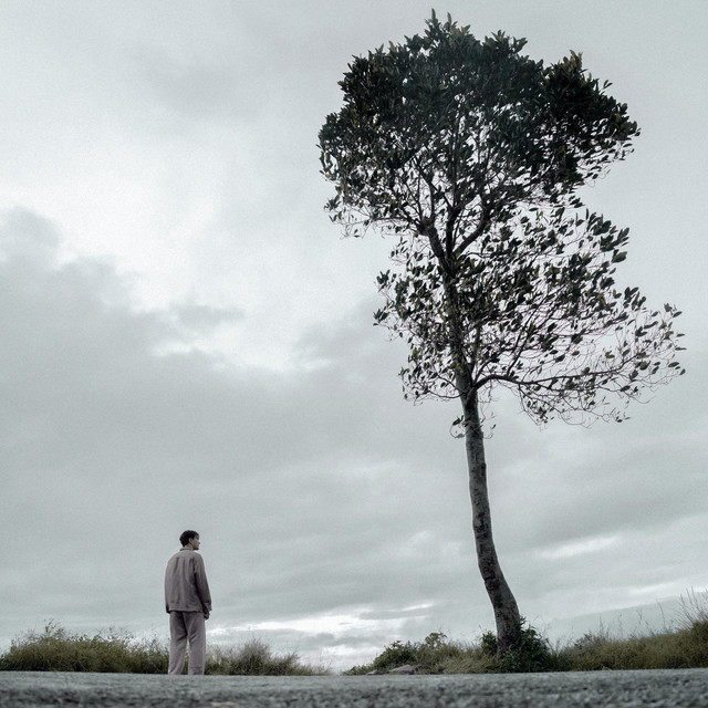 Selasa cover art