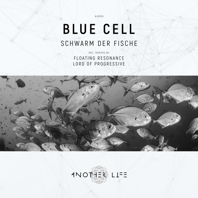Schwarm Der Fische - Floating Resonance Remix cover art