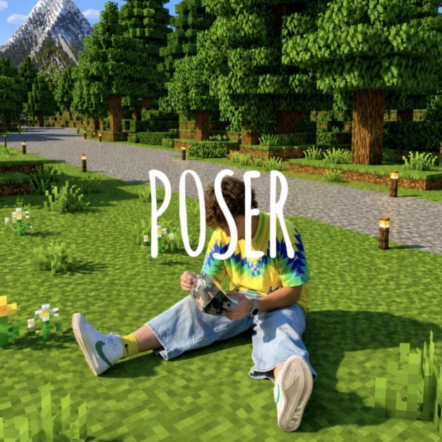 P0SER