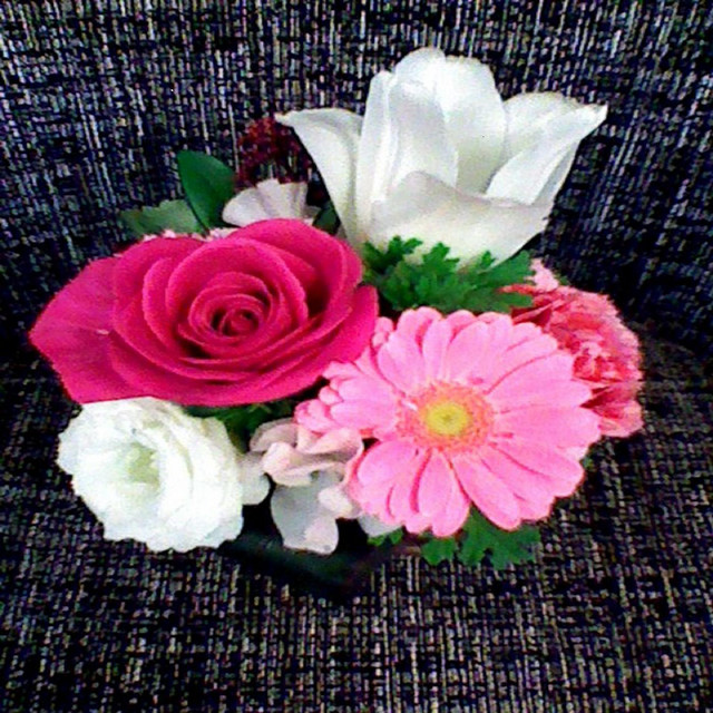 渡辺葉子 Spotify