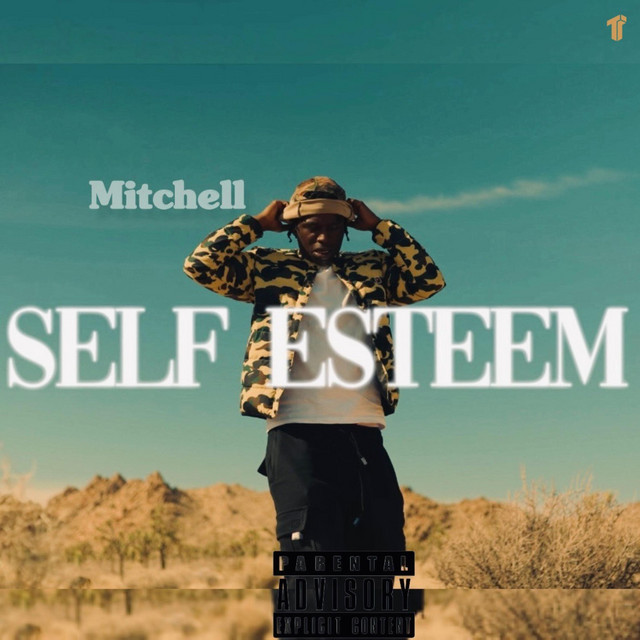 Self Esteem cover art