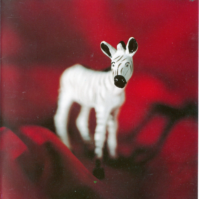 Zebra cover art