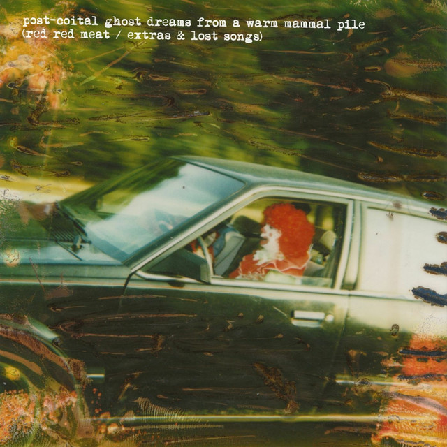Post-Coital Ghost Dreams From a Warm Mammal Pile cover art