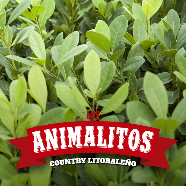 Country Litoraleño