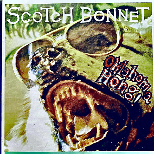Scotty Karate
