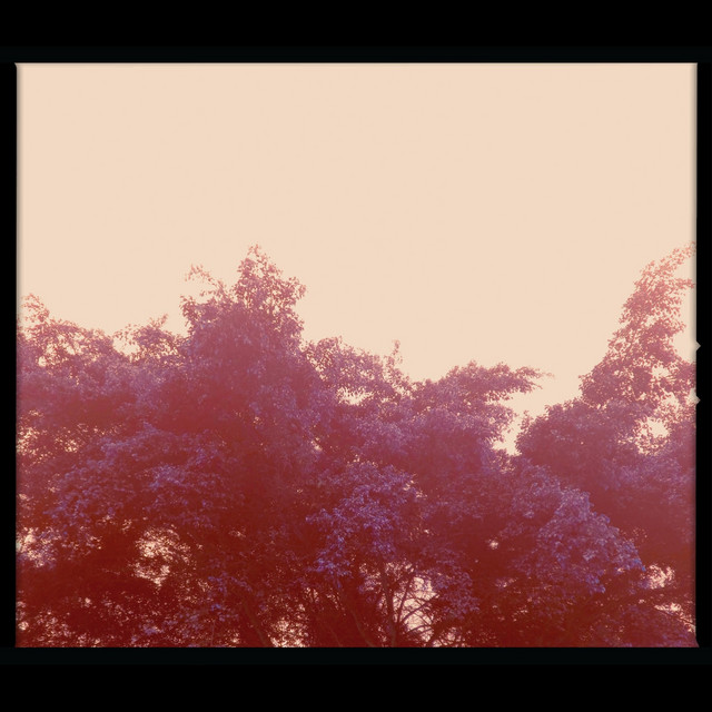 Jara cover art