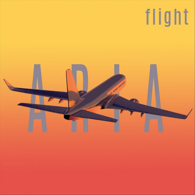 Flight cover art