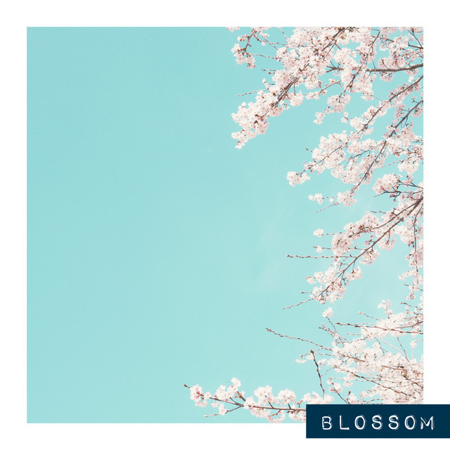 Blossom