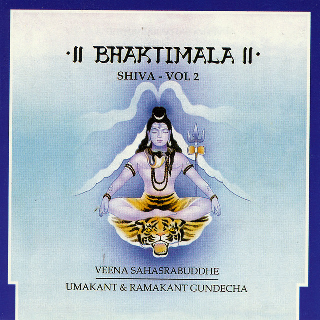 Veena Sahasrabuddhe photo