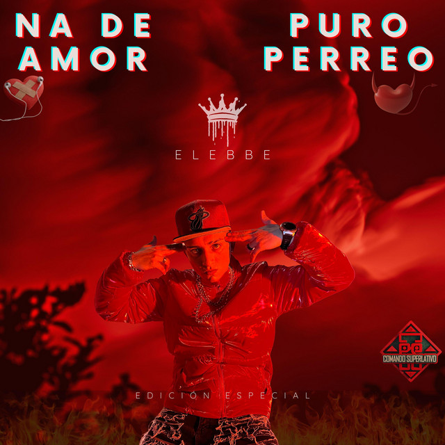NA DE AMOR, PURO PERREO cover art