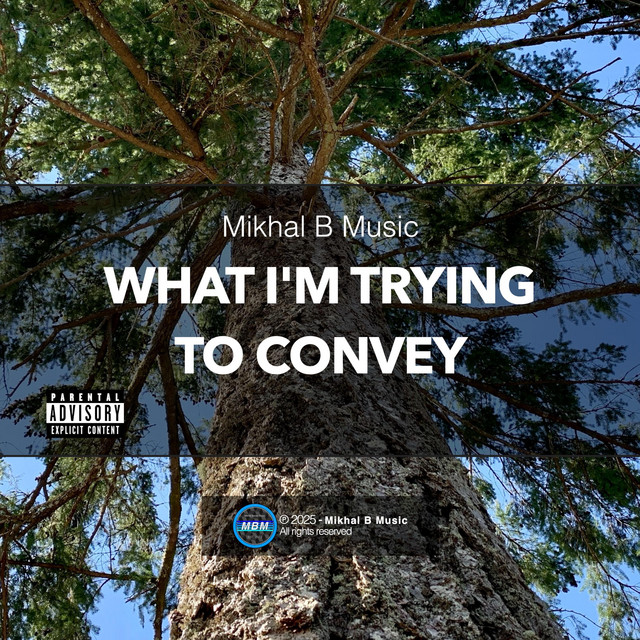What I'm Trying to Convey cover