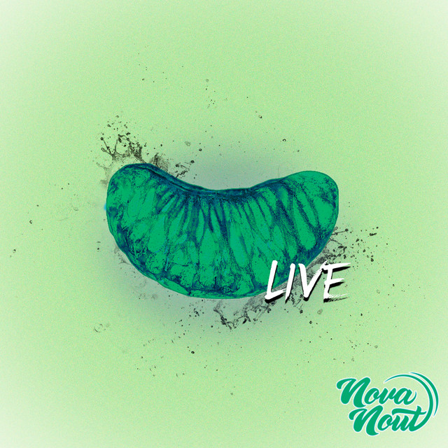 Novanout Live cover art