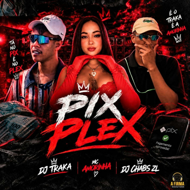 PIX PLEX