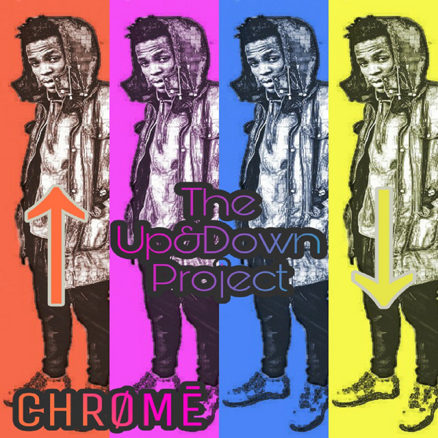The Up & Down Project cover art