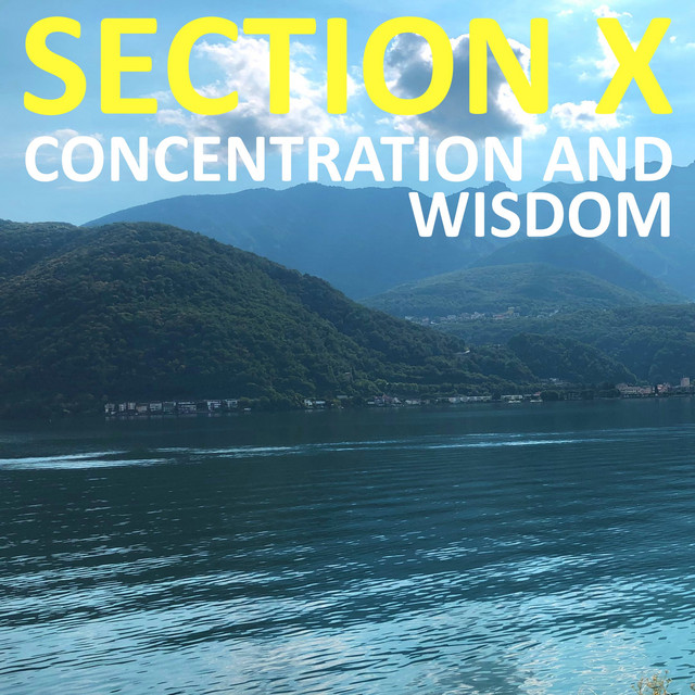Section X