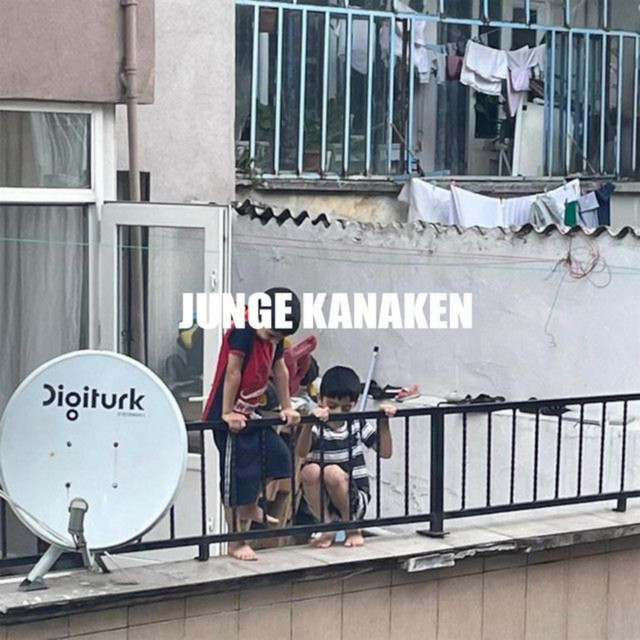 Junge Kanaken cover art