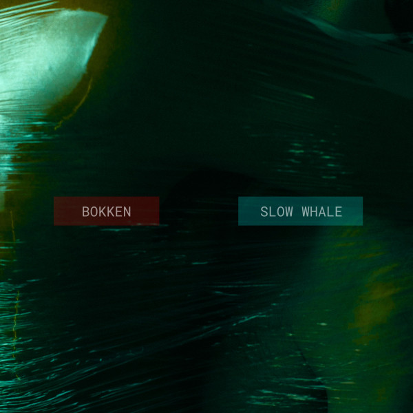 Обкладинка Taras Bazeev — Slow Whale