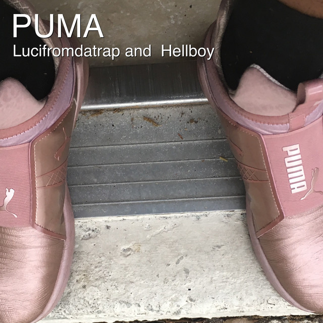 Puma cover art