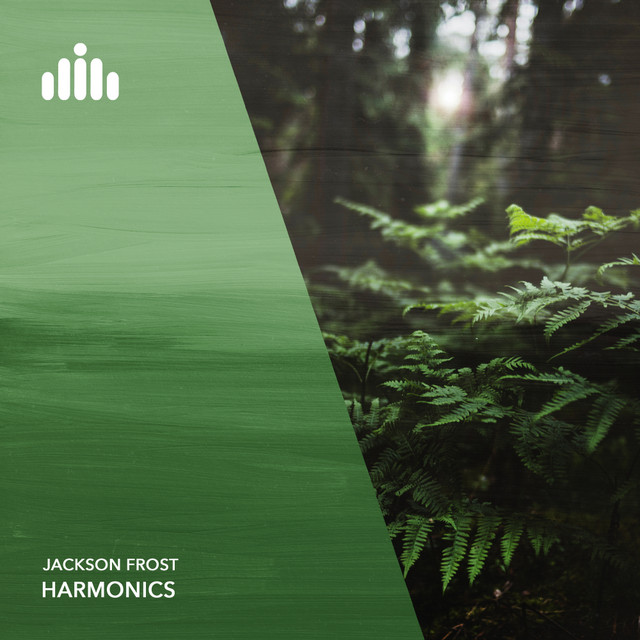 Обкладинка: Harmonics — Jackson Frost