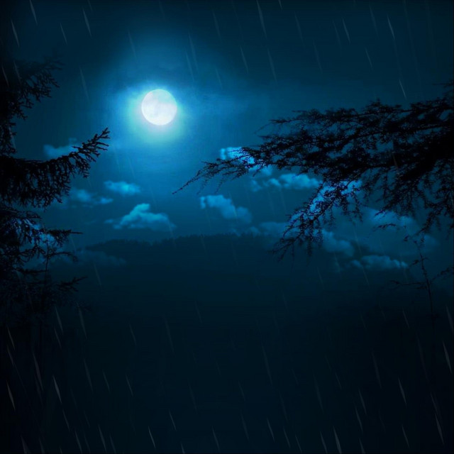 Deep Sleep Rainfalls cover art