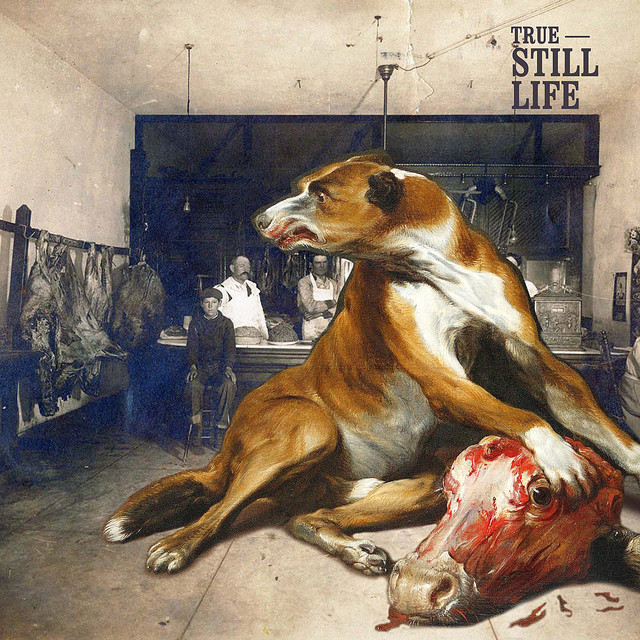 Still Life cover art