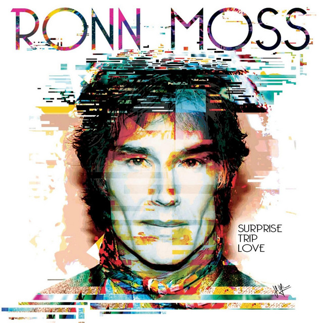Surprise Trip Love cover art