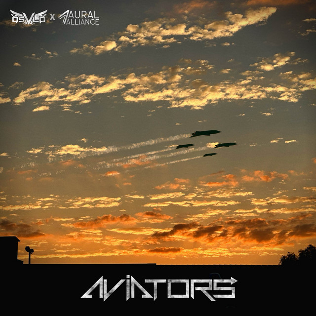 Aviators cover art