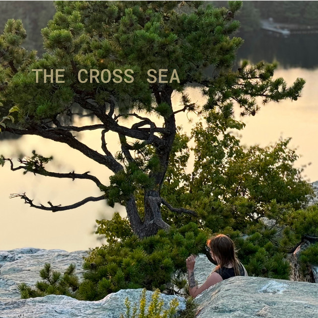 The Cross Sea cover art