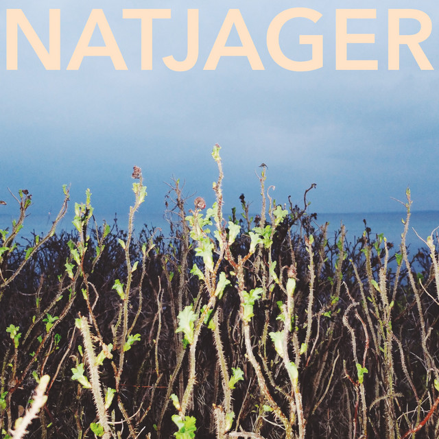 Natjager cover