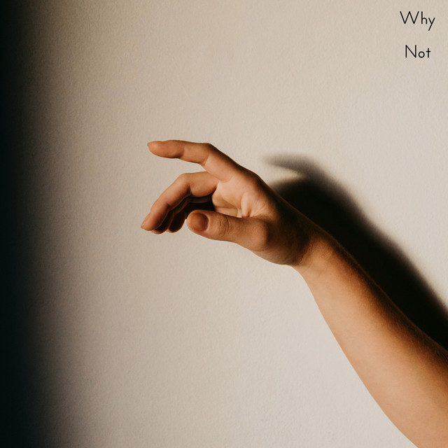 Why Not cover art