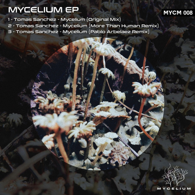 Mycelium cover art