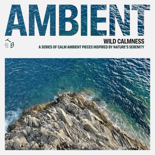 Tomasz Bednarczyk - Wild Calmness - Long Version