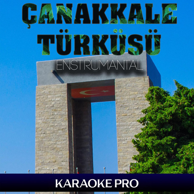 Karaoke Pro