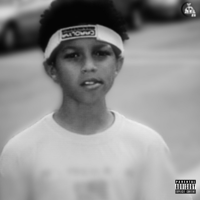 Wooly cover art