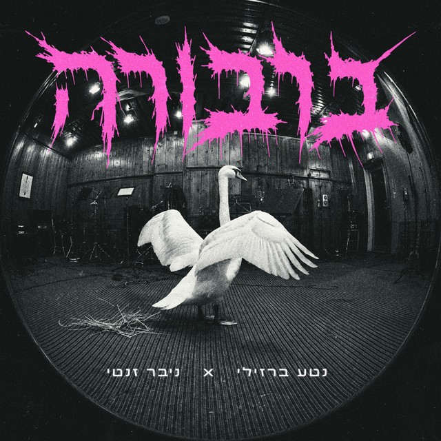 ברבורה cover art