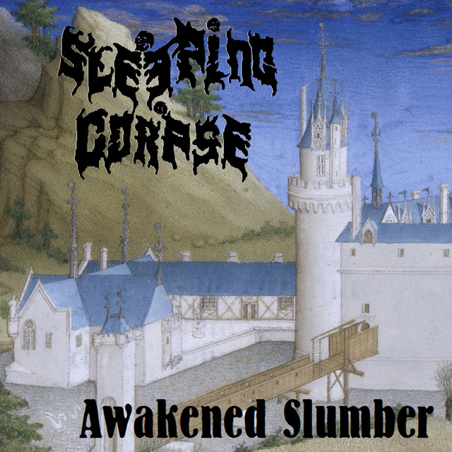 Sleeping Corpse Photo