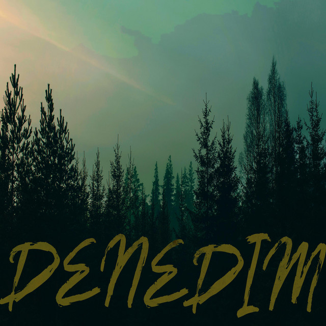 Denedim cover art