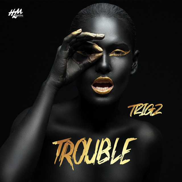 Trouble cover