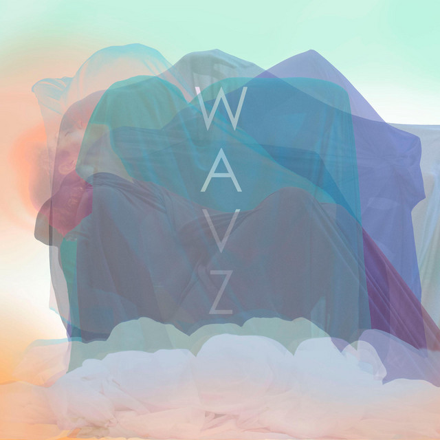 Wavz cover